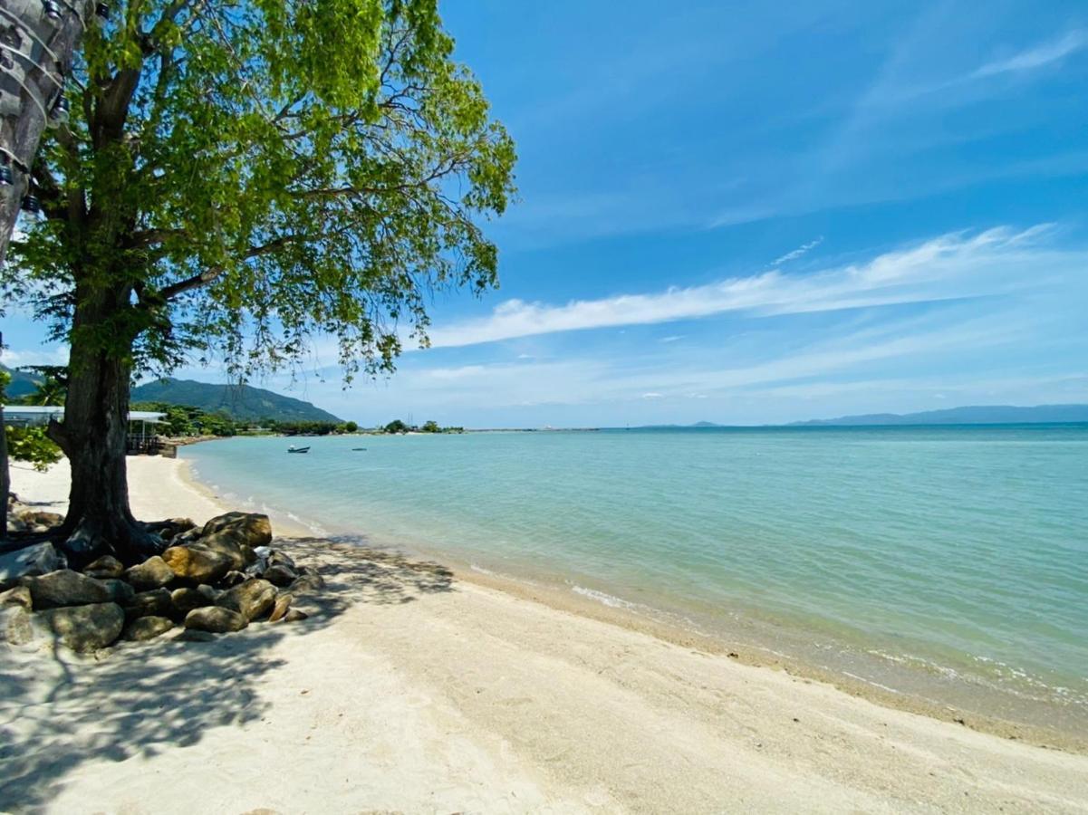 Absolute Beachfront Resort Baan Tai Εξωτερικό φωτογραφία